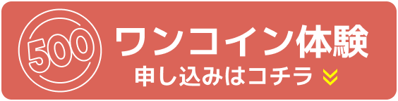 ワンコイン体験