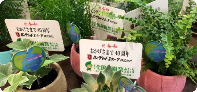 災害に備えて（物的）　イメージ