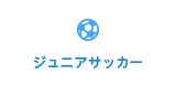 ジュニアサッカー