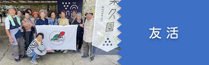 友活
